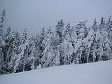 1232367_IMG.JPG