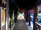 DCP07736.jpg