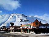 IMG_2475.jpg