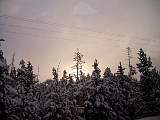 IMG_2489.jpg