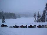 IMG_2501.jpg