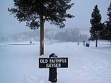 IMG_2505.jpg