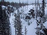 IMG_2525.jpg