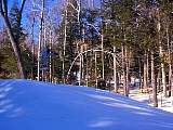 DCP08139.jpg