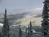 IMG_4342.jpg