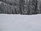 IMG_4345.jpg