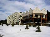 IMG_4467.jpg