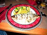 IMG_4501.jpg
