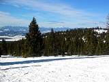 IMG_4537.jpg