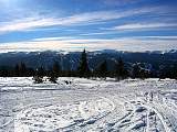 IMG_4539.jpg