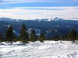 IMG_4541.jpg
