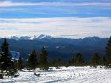 IMG_4546.jpg