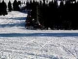IMG_4551.jpg