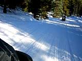 IMG_4559.jpg