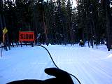 IMG_4563.jpg