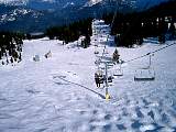 CIMG0548.jpg