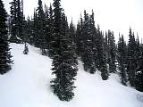 IMG_6021.jpg