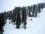 IMG_6031.jpg