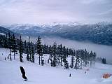 CIMG0895.jpg